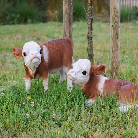 Appartement In By The Marina