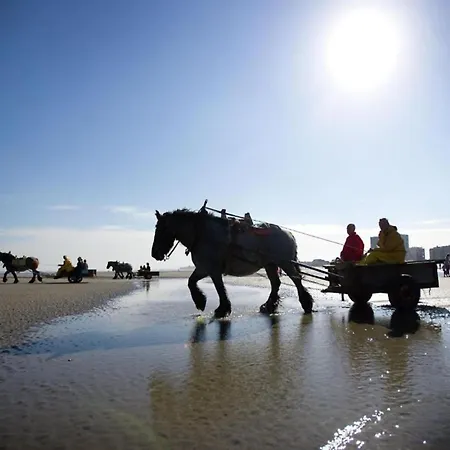 In By The Marina Appartement Nieuwpoort
