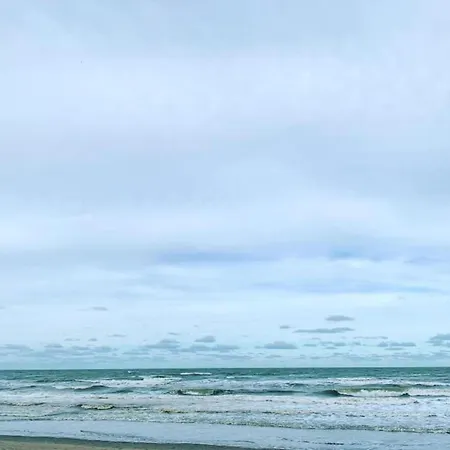 In By The Marina * Nieuwpoort